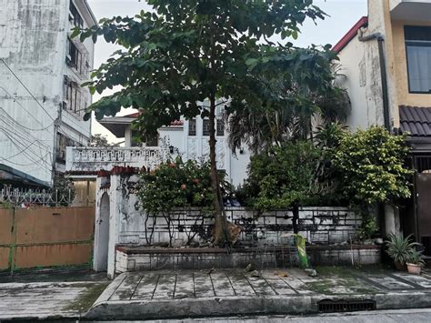 Properties For Sale in Palanan, Makati .